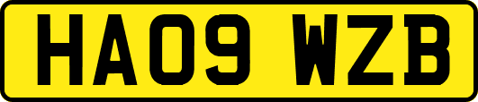 HA09WZB