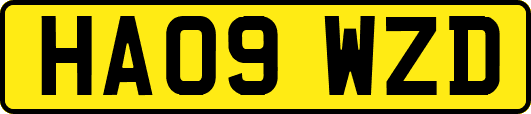 HA09WZD