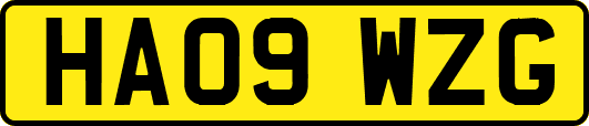 HA09WZG