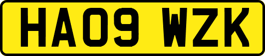 HA09WZK