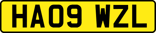 HA09WZL