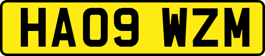 HA09WZM