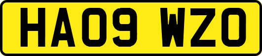 HA09WZO
