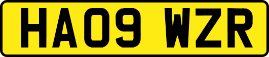 HA09WZR