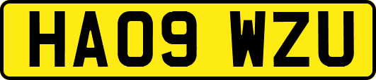 HA09WZU
