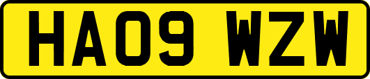 HA09WZW
