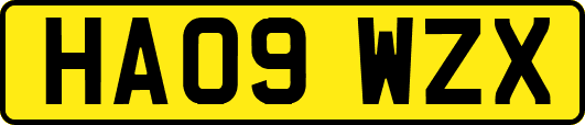 HA09WZX