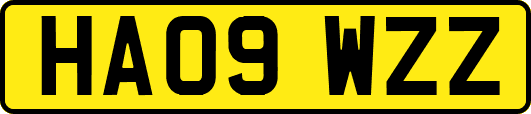 HA09WZZ