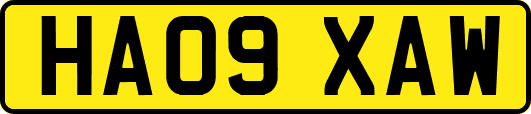 HA09XAW