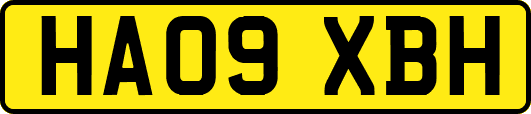 HA09XBH