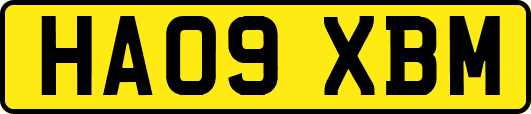 HA09XBM