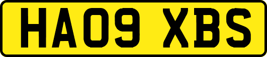 HA09XBS