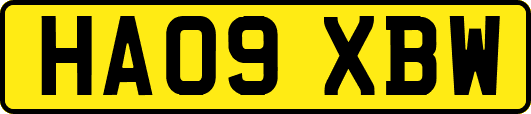 HA09XBW
