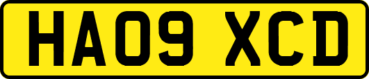 HA09XCD