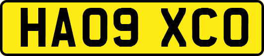 HA09XCO