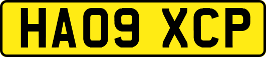 HA09XCP