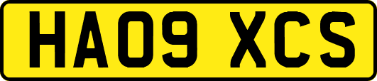 HA09XCS