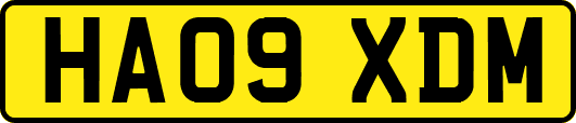 HA09XDM