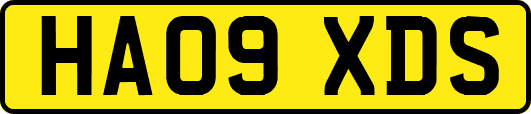 HA09XDS