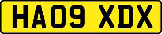 HA09XDX