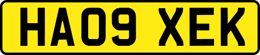 HA09XEK