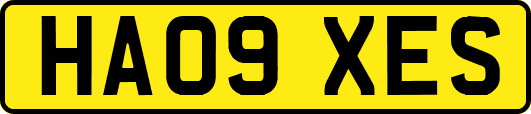 HA09XES