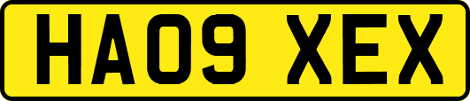 HA09XEX