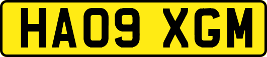 HA09XGM
