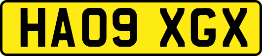 HA09XGX