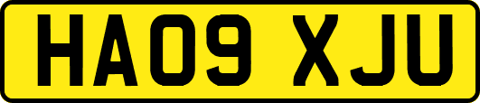 HA09XJU