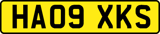 HA09XKS