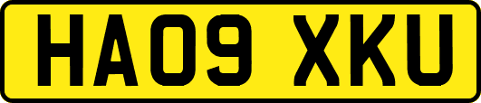 HA09XKU