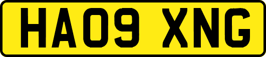 HA09XNG