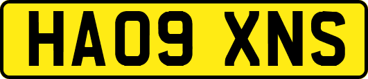 HA09XNS