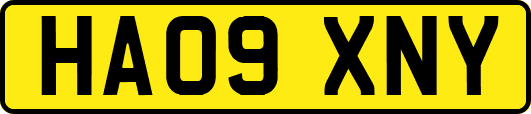 HA09XNY