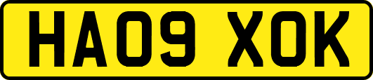 HA09XOK