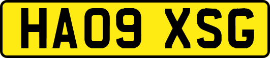 HA09XSG