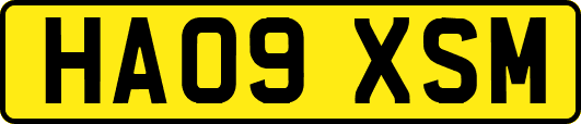 HA09XSM