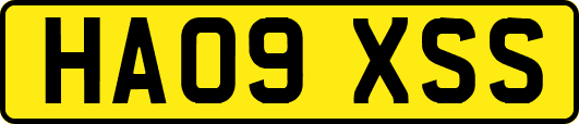 HA09XSS