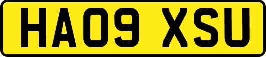 HA09XSU