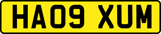 HA09XUM
