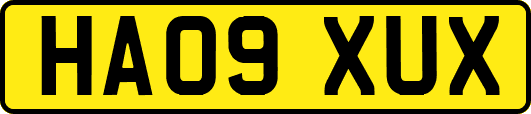 HA09XUX