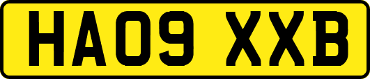 HA09XXB