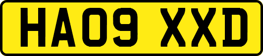HA09XXD