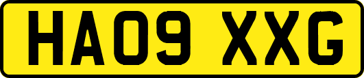 HA09XXG