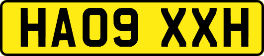 HA09XXH