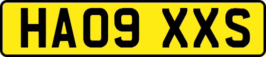 HA09XXS
