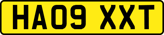 HA09XXT