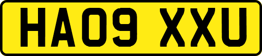 HA09XXU