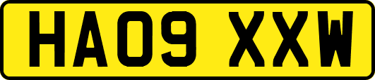 HA09XXW